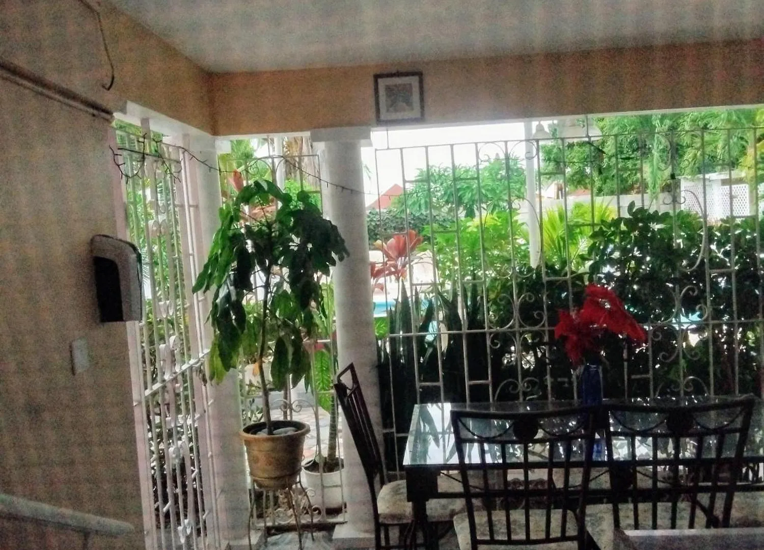 게스트하우스 237 Bratton Avenue 호텔 몬테고 베이 자메이카