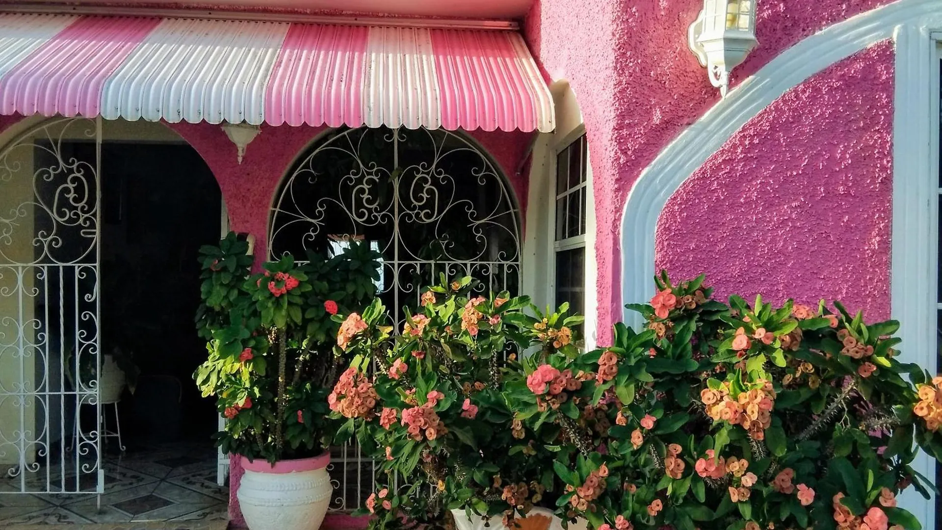 Guest house 237 Bratton Avenue Hotel Montego Bay