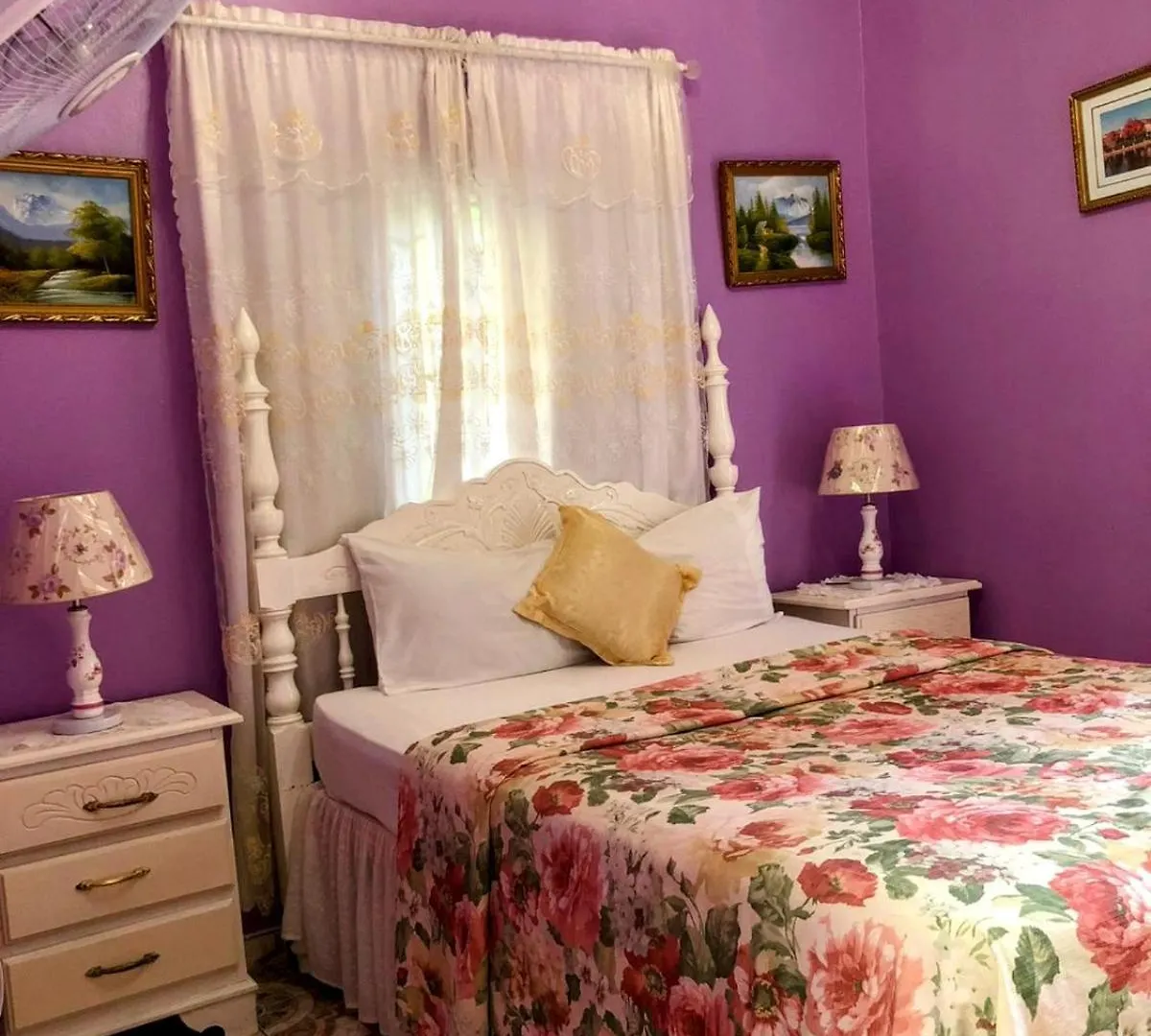 237 Bratton Avenue Hotel Montego Bay Jamaica