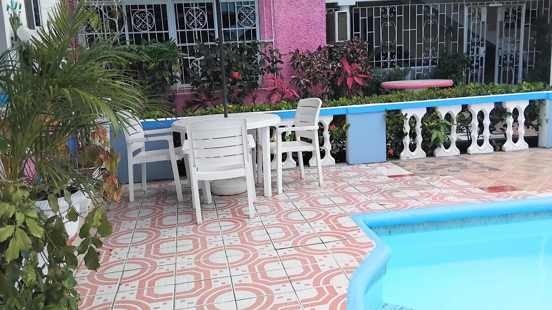 237 Bratton Avenue Hotel Montego Bay Guest house