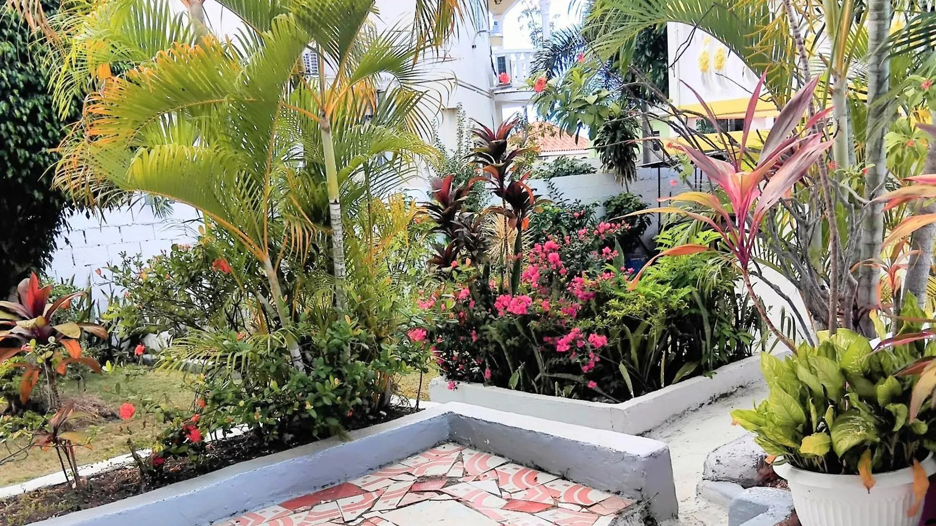 237 Bratton Avenue Hotel Montego Bay